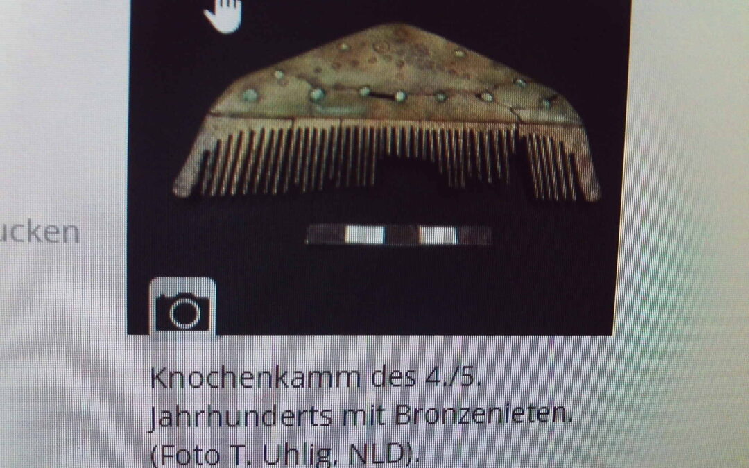 Funde im Windpark Ahlum-Dettum